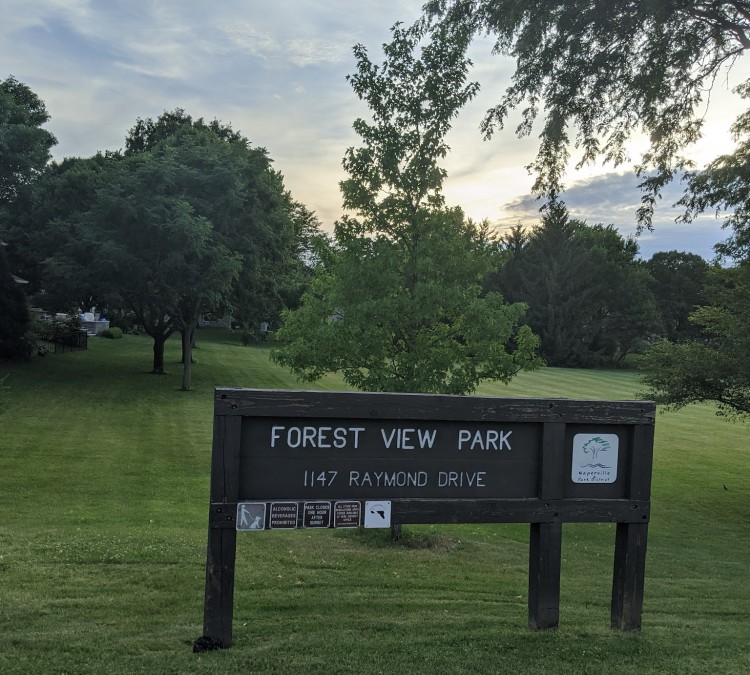 Forest View Park (Naperville,&nbspIL)